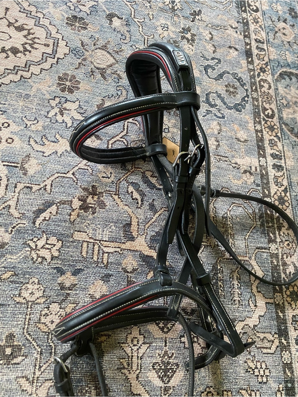 CWD Black Leather Horse Bridle with Red Trim